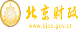 啊啊啊啊网站北京市财政局